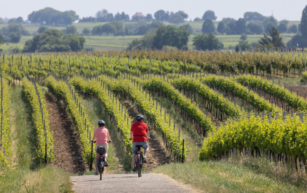 Fietsvakantie door de wijngaarden, Frankrijk