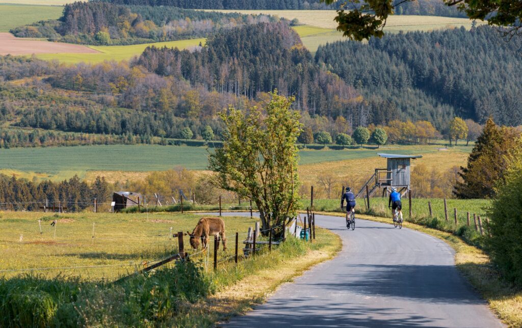Fietsvakantie door het Mullerthal, Luxemburg
