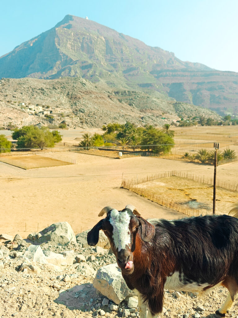 Uitzicht in Oman