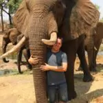 Steven olifant