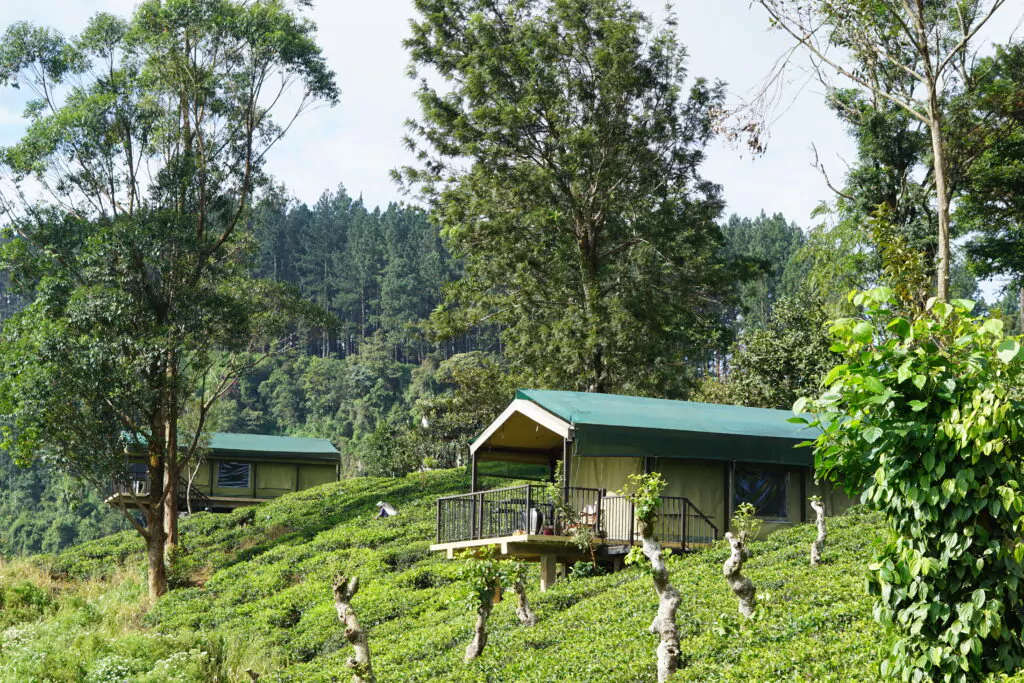 Lodge Sri Lanka Zuiderhuis